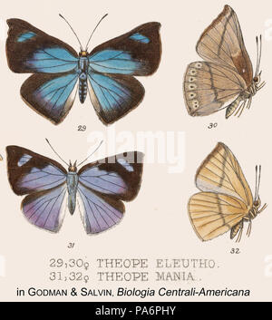 Natural history, Classification and Nomenclature of Insects of the Bee ...