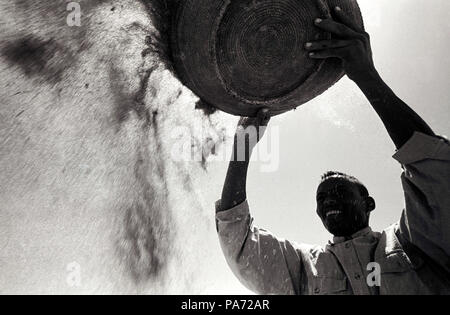 Tserona, Eritrea. 2nd Nov, 1999. A young man in Mai Aini raise baskets of teff over their heads and use the wind to sift the chaff. Teff is a staple food source in Eritrea, used to make njera, a large pancake bread with a slightly sour taste and doughy texture. Although Mai Aini is just miles from the frontline at Tserona, the villagers continue the harvest despite the threat of war. Credit: Cheryl Hatch/ZUMAPRESS.com/Alamy Live News Stock Photo