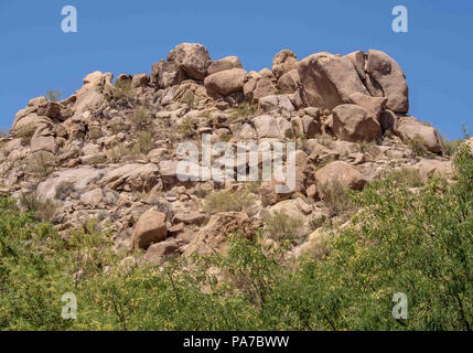 Arizona, USA. 27th May, 2018. Boulder strewn landscape of the southwestern Sonoran desert near Phoenix, Arizona. Credit: Arnold Drapkin/ZUMA Wire/Alamy Live News Stock Photo