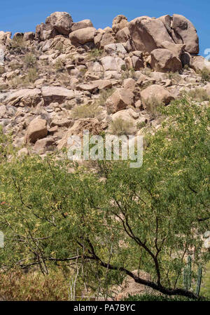 Arizona, USA. 27th May, 2018. Boulder strewn landscape of the southwestern Sonoran desert near Phoenix, Arizona. Credit: Arnold Drapkin/ZUMA Wire/Alamy Live News Stock Photo