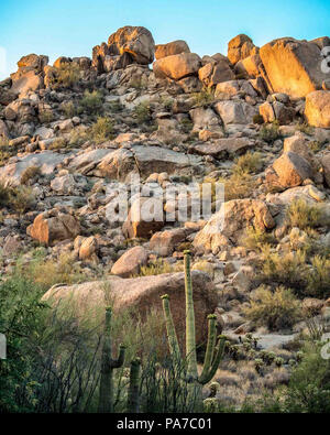 Arizona, USA. 27th May, 2018. Boulder strewn landscape of the southwestern Sonoran desert near Phoenix, Arizona. Credit: Arnold Drapkin/ZUMA Wire/Alamy Live News Stock Photo