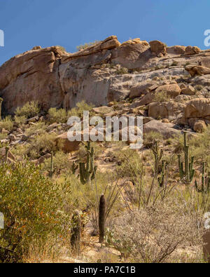 Arizona, USA. 28th May, 2018. Boulder strewn landscape of the southwestern Sonoran desert near Phoenix, Arizona. Credit: Arnold Drapkin/ZUMA Wire/Alamy Live News Stock Photo