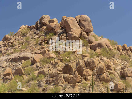 Arizona, USA. 28th May, 2018. Boulder strewn landscape of the southwestern Sonoran desert near Phoenix, Arizona. Credit: Arnold Drapkin/ZUMA Wire/Alamy Live News Stock Photo