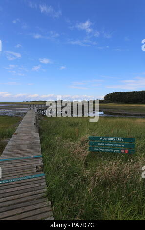 Wooden walkway across Peffer Burn at Aberlady Bay Nature Reserve East Lothian Scotland  July 2018 Stock Photo