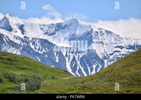 Landscape in Denali National Park, Alaska, United States Stock Photo