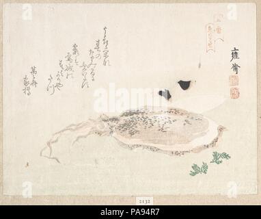 Cuttle Fish. Artist: Kikuchi Yosai (Japanese, 1781-1878). Culture: Japan. Dimensions: 5 9/16 x 7 7/16 in. (14.1 x 18.9 cm). Date: early 19th century. Museum: Metropolitan Museum of Art, New York, USA. Stock Photo