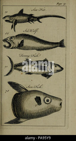 A new and accurate system of natural history ... London,Printed for J. Newbery,1763. Stock Photo