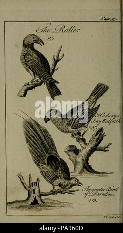 A new and accurate system of natural history ... London,Printed for J. Newbery,1763. Stock Photo