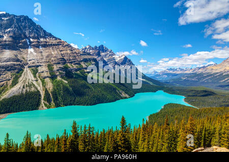 Peyto Lake as viewed from Bow Summit in Banff National Park on the Icefields Parkway. The glacier-fed lake is famous for its bright turquoise colored  Stock Photo