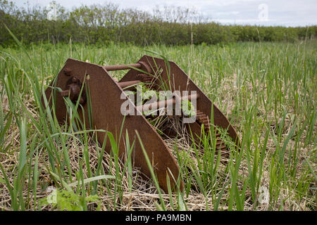 Remains of Soviet era Gulag for Women and fox farm - Atlasov Island, Kuril Islands Stock Photo