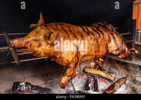 Grilled pork, barbecue meat cooked using traditional method with open fire and oak wood Stock Photo
