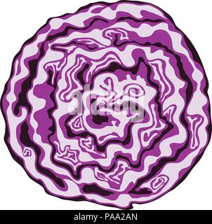 vector red cabbage cut isolated on white background. fresh purple cabbage vegetable for healthy vegetarian diet Stock Vector