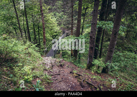 Bridge over Hornad River near Tomasovsky Vyhlad viewing point on the left side of the Hornad valley in Slovak Paradise National Park, Slovakia Stock Photo