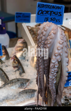 fresh mediteranean octopus on sale on a fishmongers stall at borough market Stock Photo