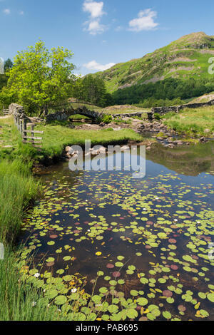 Slaters Bridge, Little Langdale, Lake District, UK Stock Photo