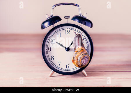 snail on an old and rusty alarm clock Stock Photo