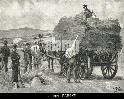 The saving of Captain Boycott's crops, 1880.  Orangemen from County Cavan and County Monaghan harvesting the crops, protected by the 19th Royal Hussars, and the Royal Irish Constabulary during the isolation campaign by the Irish National Land League Stock Photo