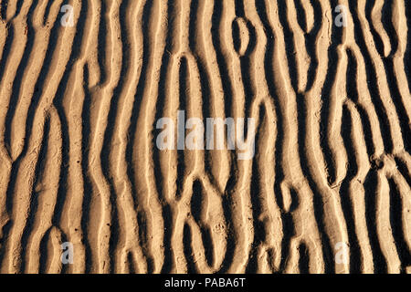 Channels carved in sand by waves exposed during low tides Stock Photo