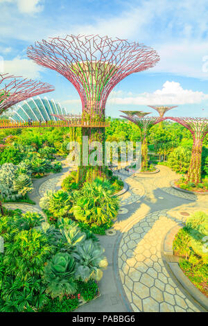 Singapore - April 29, 2018: aerial view of Supertree Grove with skybridge at Gardens by the Bay on a sunny day with blue sky. Famous tourist attraction in marina bay area, Singapore. Vertical shot.