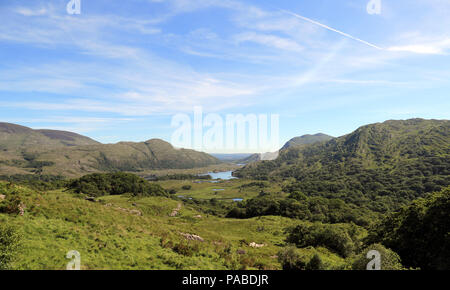 Ring of Kerry Drive | Killarney National Park | WildLens by Abrar