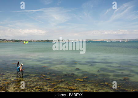 An angler saltwater flyfishing in Portland Harbour on a hot day during the UK 2018 heatwave. Dorset England UK GB Stock Photo