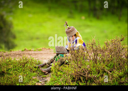 AKSUM, ETHIOPIA - SEPTEMBER 22, 2011: Unidentified Ethiopian boy sells the traditional hat with the green nature background. People in Ethiopia suffer Stock Photo