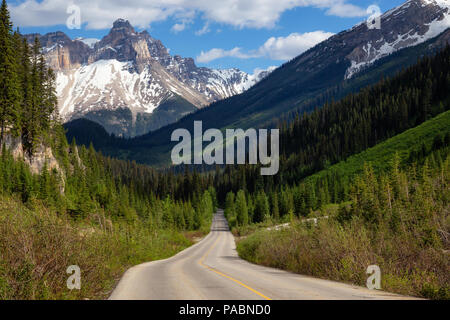 Scenic road in the Canadian Rockies during a vibrant sunny summer day. Taken in Yoho National Park, British Columbia, Canada. Stock Photo