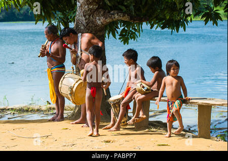 EMBERA VILLAGE, PANAMA, JANUARY 9, 2012: Unidentified native Indian family make music for tourists  in Panama, Jan 9, 2012. Indian reservation is the  Stock Photo