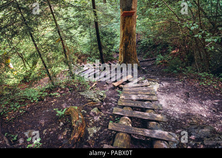 Wooden stairs on a hiking trail called Prielom Hornadu, along canyon of Hornad River in Slovak Paradise, part of Slovak Ore Mountains in Slovakia Stock Photo