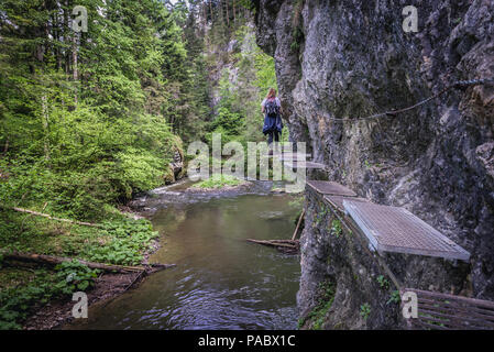 Iron steps and chains on the hiking trail called Prielom Hornadu, along canyon of Hornad River in Slovak Paradise National Park, Slovakia Stock Photo