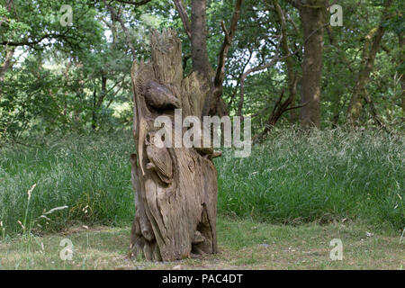 Carved tree stump with wildlife carvings Wood of Cree RSPB Nature Reserve Newton Stewart Dumfries and Galloway Scotland Stock Photo