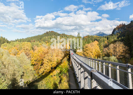 Treetop walk over the autumn forest at Forest Experience Centre Ziegelwiesen, Füssen, Bavaria, Germany Stock Photo