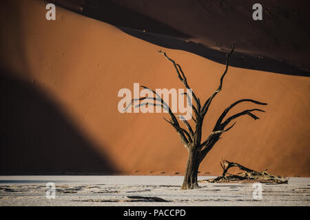 Dead tree trunks with red sand dune in Deadvlei Sossulsvlei Namib Desert Stock Photo