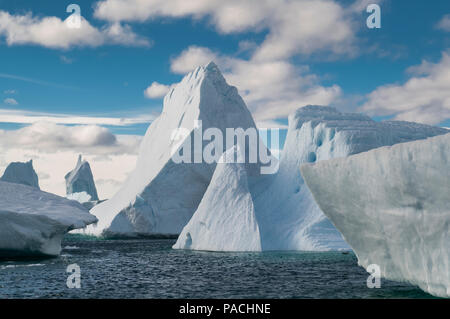 ICEBERG GRAVEYARD  PLENEAU ISLAND      ANTARCTICA Stock Photo