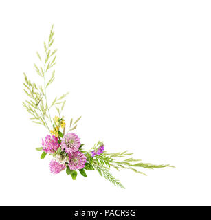 Flowers fram composed of wildflowers and grass, isolated on white background. Flat lay, top view Stock Photo