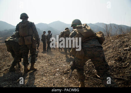 marines 1st bravo battalion landing company platoon team 5th alamy