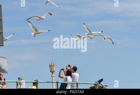 Brighton UK 22nd July 2018 -  Seagulls mob a couple trying to take photographs on Brighton seafront as the heatwave weather continues throughout parts of Britain Credit: Simon Dack/Alamy Live News Stock Photo