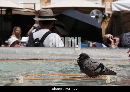 Rome, Italy. 22 July 2018. Tourists seek shelter by the Pantheon in Rome as temperatures reach 32 degrees. Credit: Gari Wyn Williams/Alamy Live News Stock Photo