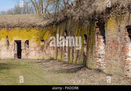 ruins of an old abandoned structure with a high humidity, lichen and mold on the surface of brick walls Stock Photo