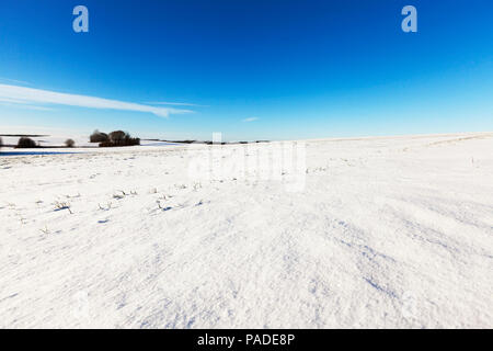 rural field covered in snow during the winter, Uneven surface, there is a hill, On the outskirts of the field trees, Against the background of the blu Stock Photo