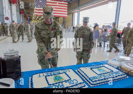 Col. Ronald W. Burkett II, outgoing commander, 36th CAB, cuts the ceremonial cake at a change of command, Austin, Texas, July 14, 2018. (Texas Army National Guard Photo by 2nd Lt. Caitlin Rourk) Stock Photo