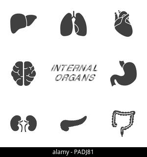 Internal Organs Glyph Icons. Stock Vector