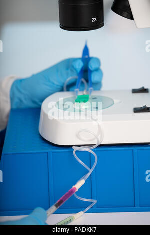 technician girl with microfluidic device LOC in microbiological lab Stock Photo