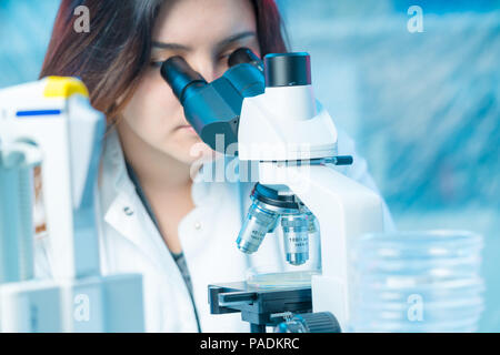 Young woman technician in a scientific laboratory with microscope slide Stock Photo