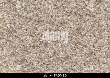Beige boiled wool ratine or wool felt texture Stock Photo