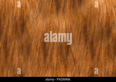 Red fox fur texture Stock Photo
