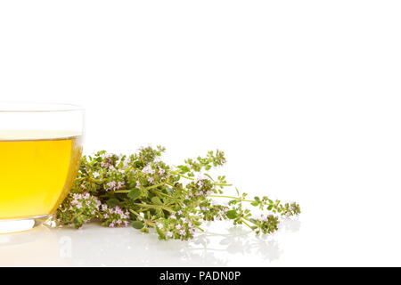Wild Thyme tea with fresh flowers isolated on white background. Stock Photo