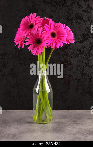 Gerbera pink flowers in vase against dark background. Stock Photo