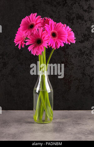 Gerbera pink flowers in vase against dark background. Stock Photo