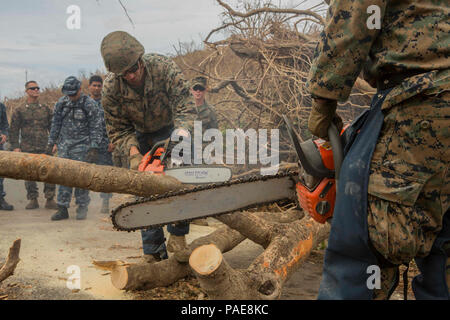 170925-M-IZ659-0017 ST. CROIX, U.S. Virgin Islands (Sept. 24, 2017) U.S. Marines assigned to Combat Logistics Battalion 26, 26th Marine Expeditionary Unit (26th MEU), cut branches from a fallen tree to clear a road in St. Croix, U.S. Virgin Islands, Sept. 25, 2017. The 26th MEU is supporting the Federal Emergency Management Agency, the lead federal agency, and local authorities in Puerto Rico and the U.S. Virgin Islands with the combined goal of protecting the lives and safety of those in affected areas. Stock Photo